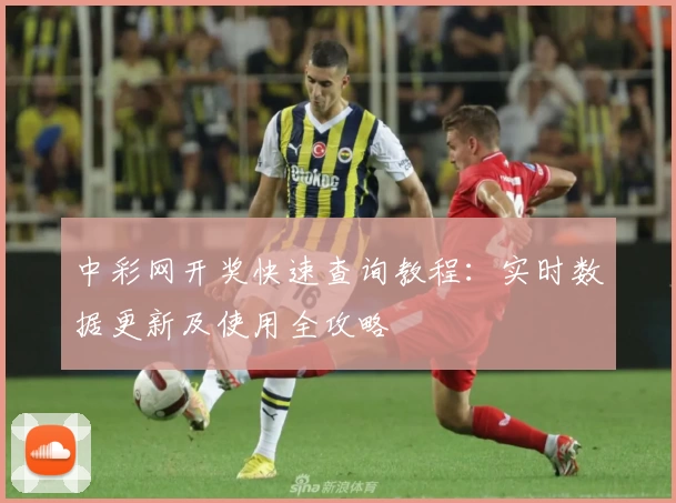 中彩网开奖快速查询教程：实时数据更新及使用全攻略