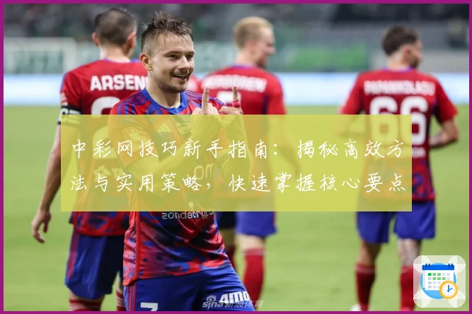 中彩网技巧新手指南：揭秘高效方法与实用策略，快速掌握核心要点