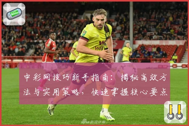 中彩网技巧新手指南：揭秘高效方法与实用策略，快速掌握核心要点