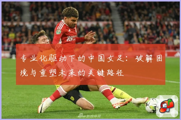 专业化驱动下的中国女足：破解困境与重塑未来的关键路径